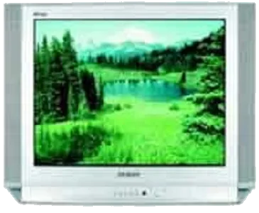 Замена подсветки Samsung CS-29D8 WTR